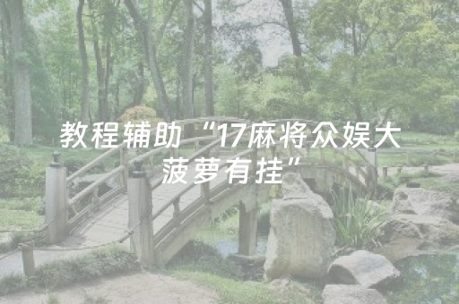 教程辅助“17麻将众娱大菠萝有挂”（详细透视教程）-哔哩哔哩