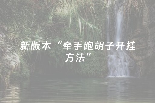 新版本“牵手跑胡子开挂方法”（详细透视教程）-哔哩哔哩