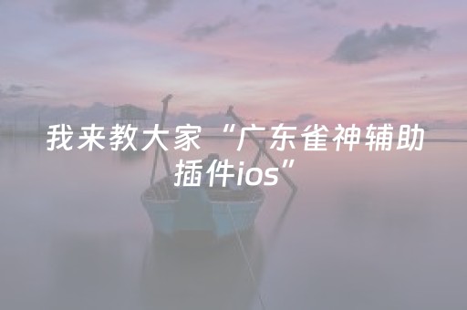 我来教大家“广东雀神辅助插件ios”（详细透视教程）-哔哩哔哩