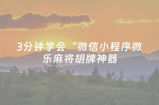 3分钟学会“微信小程序微乐麻将胡牌神器（助赢神器通用版）