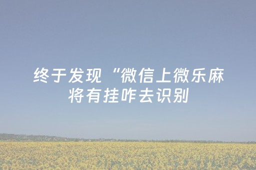 终于发现“微信上微乐麻将有挂咋去识别（助赢神器通用版）