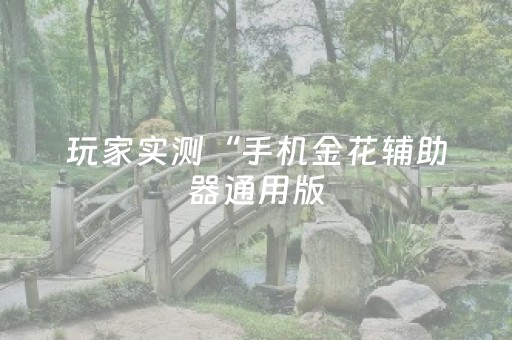 玩家实测“手机金花辅助器通用版（专用辅牌神器免安装）