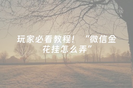 玩家必看教程！“微信金花挂怎么弄”（详细透视教程）-哔哩哔哩