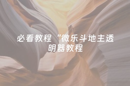 必看教程“微乐斗地主透明器教程（专用辅牌神器免安装）