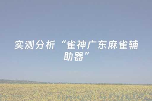 实测分析“雀神广东麻雀辅助器”（详细开挂教程）-哔哩哔哩