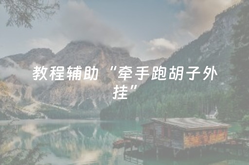 教程辅助“牵手跑胡子外挂”（详细透视教程）-哔哩哔哩