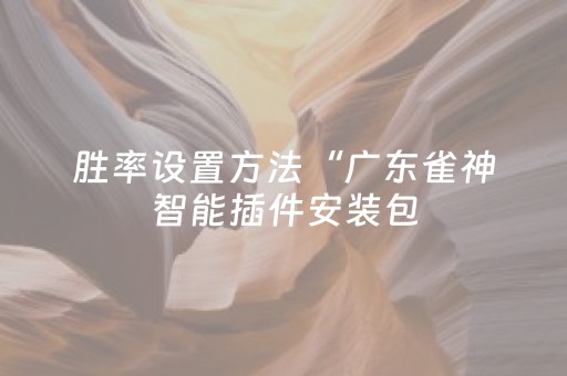 胜率设置方法“广东雀神智能插件安装包（专用辅牌神器免安装）