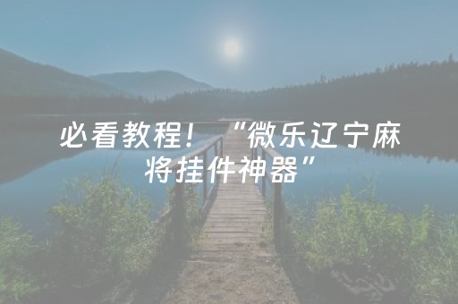 必看教程！“微乐辽宁麻将挂件神器”（详细开挂教程）-哔哩哔哩