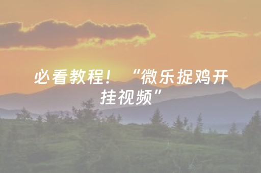 必看教程！“微乐捉鸡开挂视频”（详细辅助教程）-哔哩哔哩