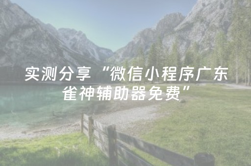 实测分享“微信小程序广东雀神辅助器免费”（详细辅助教程）-哔哩哔哩