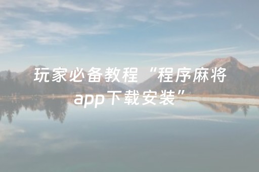 玩家必备教程“程序麻将app下载安装”（详细透视教程）-哔哩哔哩