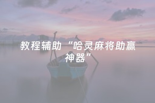 教程辅助“哈灵麻将助赢神器”（详细透视教程）-哔哩哔哩