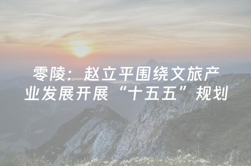 零陵：赵立平围绕文旅产业发展开展“十五五”规划专题调研