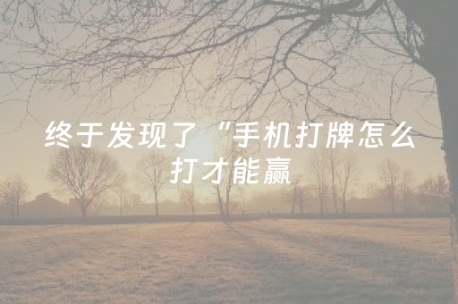 终于发现了“手机打牌怎么打才能赢（助赢神器通用版）