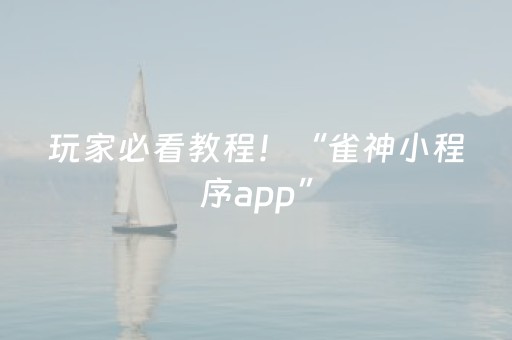玩家必看教程！“雀神小程序app”（详细辅助教程）-哔哩哔哩