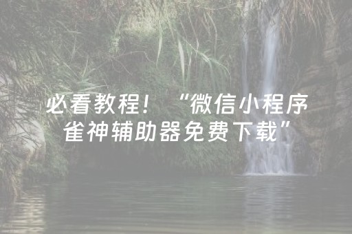 必看教程！“微信小程序雀神辅助器免费下载”（详细透视教程）-哔哩哔哩