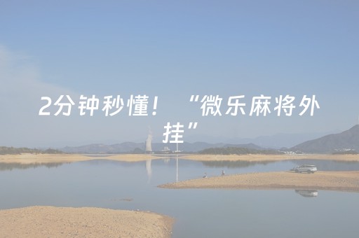 2分钟秒懂！“微乐麻将外挂”（详细辅助教程）-哔哩哔哩
