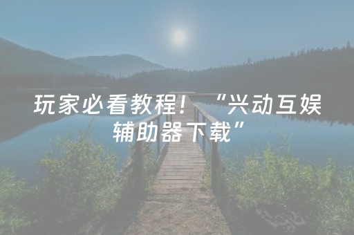 玩家必看教程！“兴动互娱辅助器下载”（详细辅助教程）-哔哩哔哩