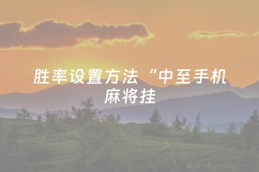 胜率设置方法“中至手机麻将挂（专用辅牌神器免安装）