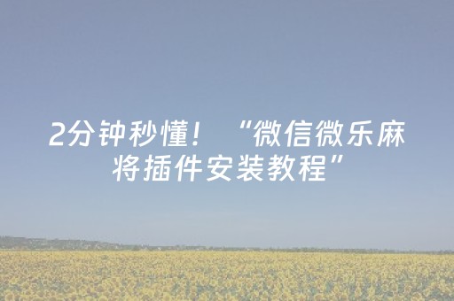 2分钟秒懂！“微信微乐麻将插件安装教程”（详细辅助教程）-哔哩哔哩