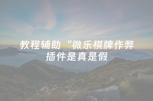 教程辅助“微乐棋牌作弊插件是真是假（专用辅牌神器免安装）