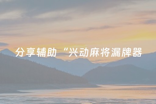 分享辅助“兴动麻将漏牌器（助赢神器通用版）