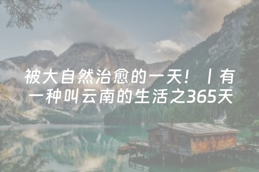 实测教程“红包三公控制尾数开挂挂”（详细透视教程）-哔哩哔哩
