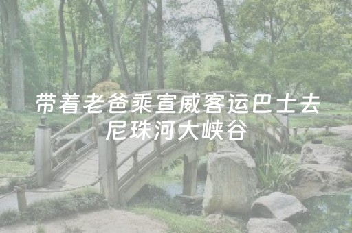 新疆旅游必去的景点（新疆旅游必去的景点有哪些）