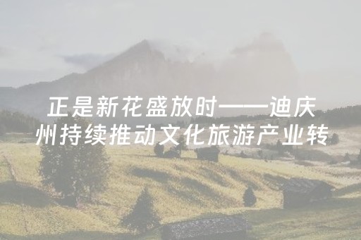 正是新花盛放时——迪庆州持续推动文化旅游产业转型升级纪实