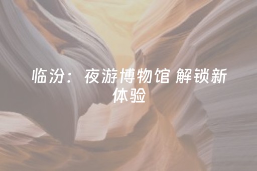 临汾：夜游博物馆 解锁新体验