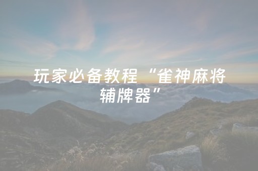 玩家必备教程“雀神麻将辅牌器”（详细透视教程）-哔哩哔哩