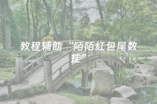 今日实测“决胜麻将神器通用版”（详细透视教程）-哔哩哔哩