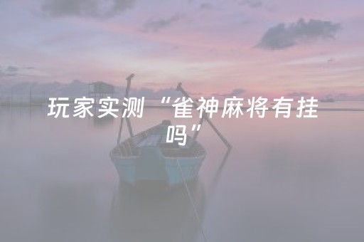 必看教程“微乐河北麻将容易胡牌的技巧”（详细透视教程）-哔哩哔哩