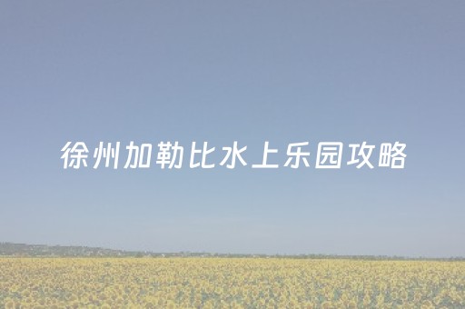 徐州加勒比水上乐园攻略（徐州加勒比水上乐园攻略路线）