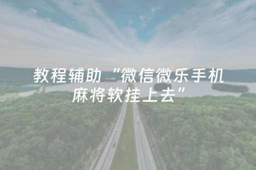 必看教程！“微信拼三张辅助视频”（详细辅助教程）-哔哩哔哩