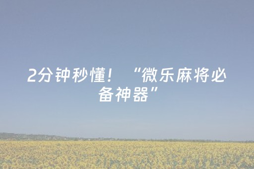 2分钟秒懂！“微乐山东麻将助攻神器”（详细透视教程）-哔哩哔哩