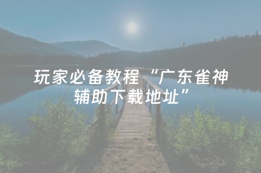 玩家必备教程“广东雀神辅助下载地址”（详细透视教程）-哔哩哔哩