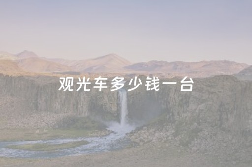 观光车多少钱一台（电动观光车多少钱一台）
