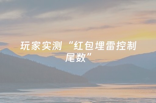 玩家实测“红包埋雷控制尾数”（详细透视教程）-哔哩哔哩