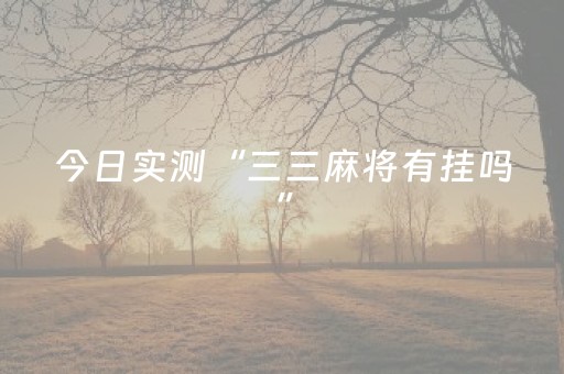 实测辅助“微乐浙江麻将助赢神器购买”（详细透视教程）-哔哩哔哩