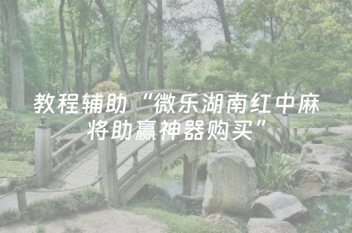 教程辅助“微乐湖南红中麻将助赢神器购买”（详细透视教程）-哔哩哔哩