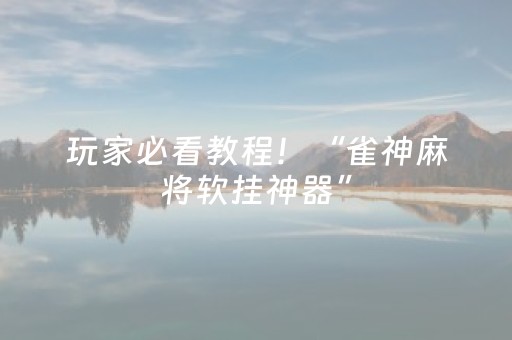 玩家必看教程！“雀神麻将软挂神器”（详细辅助教程）-哔哩哔哩