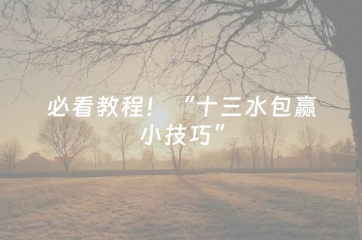 必看教程！“十三水包赢小技巧”（详细开挂教程）-哔哩哔哩