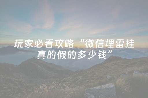 必看教程！“微乐山东麻将挂神器”（详细开挂教程）-哔哩哔哩