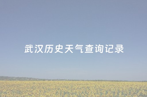 武汉历史天气查询记录（武汉历史天气情况）