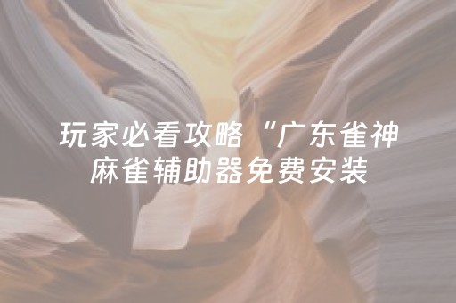 玩家必看攻略“广东雀神麻雀辅助器免费安装（专用辅牌神器免安装）