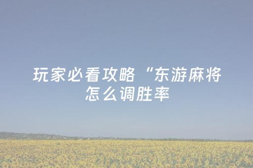 玩家必看攻略“东游麻将怎么调胜率（助赢神器通用版）