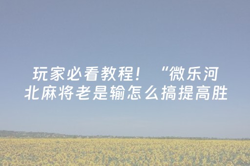 实测分享“微乐陕西麻将插件免费”（详细开挂教程）-哔哩哔哩