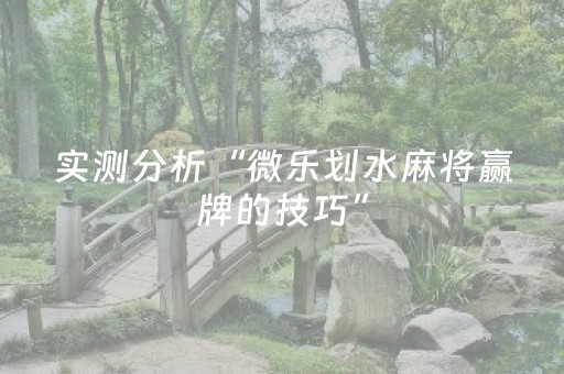 玩家必看教程！“微信小程序麻将插件”（详细透视教程）-哔哩哔哩