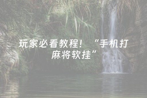 必看教程！“兴动互娱里面有没有外挂”（详细开挂教程）-哔哩哔哩
